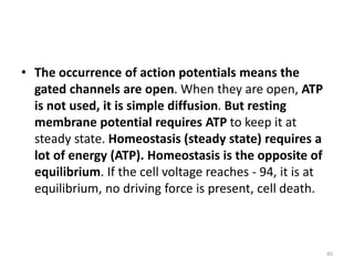 • The occurrence of action potentials means the
gated channels are open. When they are open, ATP
is not used, it is simple diffusion. But resting
membrane potential requires ATP to keep it at
steady state. Homeostasis (steady state) requires a
lot of energy (ATP). Homeostasis is the opposite of
equilibrium. If the cell voltage reaches - 94, it is at
equilibrium, no driving force is present, cell death.
45
 