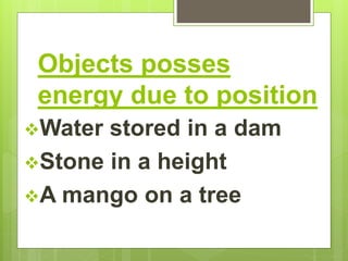 Objects posses
energy due to position
Water stored in a dam
Stone in a height
A mango on a tree