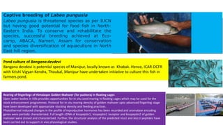 Potential fish species for Freshwater Brackish water and Mariculture ...