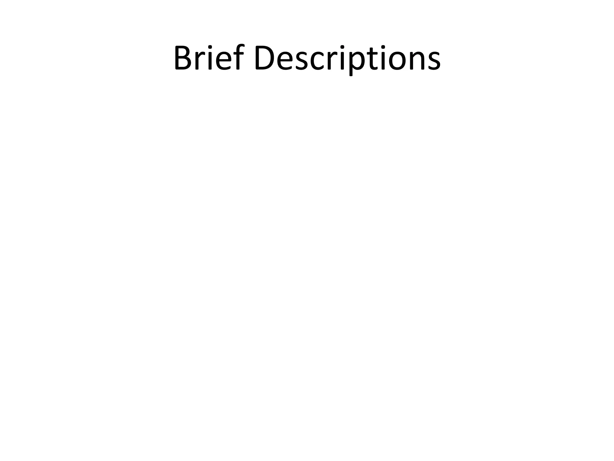 Brief Descriptions 
 
