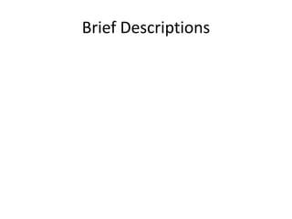 Brief Descriptions 
 