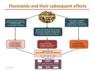Potential of edible plant in regulation of obesity and metabolic ...