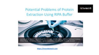 Potential Problems of Protein
Extraction Using RIPA Buffer
https://inventbiotech.com
 