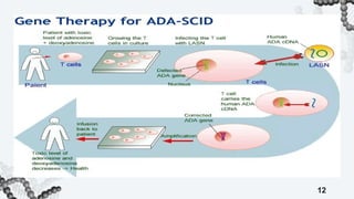 POTENTIAL TARGETS OF DISEASES FOR GENE THERAPY.pptx