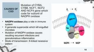 POTENTIAL TARGETS OF DISEASES FOR GENE THERAPY.pptx