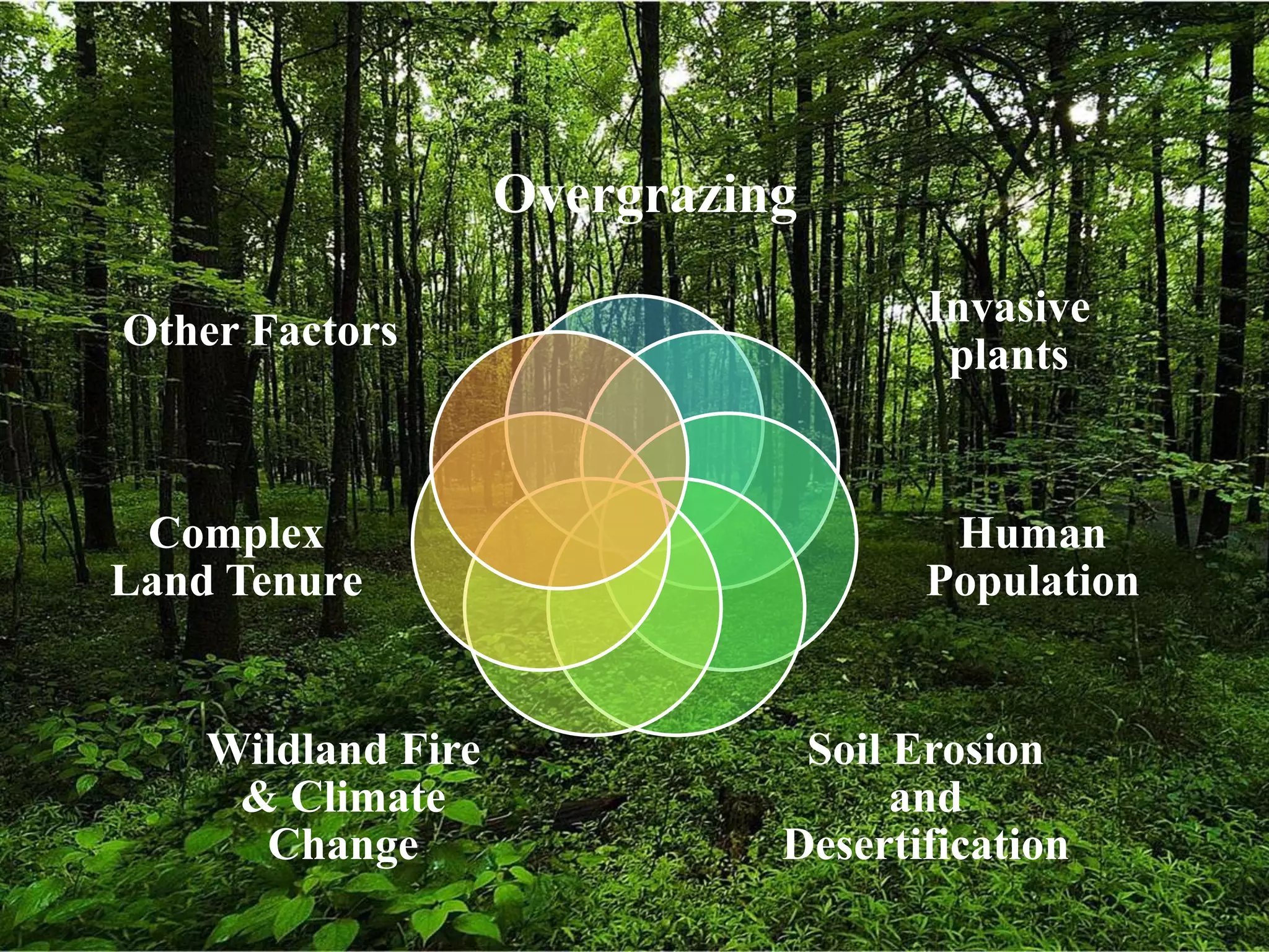 Potential threats to rangelands | PPTX
