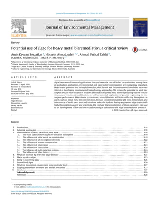 Review
Potential use of algae for heavy metal bioremediation, a critical review
Amin Keyvan Zeraatkar a
, Hossein Ahmadzadeh a, *
, Ahmad Farhad Talebi b
,
Navid R. Moheimani c
, Mark P. McHenry d
a
Department of Chemistry, Ferdowsi University of Mashhad, Mashhad, 1436-91779, Iran
b
Genetic Department, Faculty of Biotechnology, Semnan University, Semnan, 35131-19111, Iran
c
Algae R&D Centre, School of Veterinary and Life Sciences, Murdoch University, Australia
d
School of Engineering and Information Technology, Murdoch University, Australia
a r t i c l e i n f o
Article history:
Received 25 April 2016
Received in revised form
11 June 2016
Accepted 26 June 2016
Available online 5 July 2016
Keywords:
Algae biomass
Biosorption capacity
Heavy metals
Bioremediation
Biofuel
a b s t r a c t
Algae have several industrial applications that can lower the cost of biofuel co-production. Among these
co-production applications, environmental and wastewater bioremediation are increasingly important.
Heavy metal pollution and its implications for public health and the environment have led to increased
interest in developing environmental biotechnology approaches. We review the potential for algal bio-
sorption and/or neutralization of the toxic effects of heavy metal ions, primarily focusing on their cellular
structure, pretreatment, modiﬁcation, as well as potential application of genetic engineering in bio-
sorption performance. We evaluate pretreatment, immobilization, and factors affecting biosorption ca-
pacity, such as initial metal ion concentration, biomass concentration, initial pH, time, temperature, and
interference of multi metal ions and introduce molecular tools to develop engineered algal strains with
higher biosorption capacity and selectivity. We conclude that consideration of these parameters can lead
to the development of low-cost micro and macroalgae cultivation with high bioremediation potential.
© 2016 Elsevier Ltd. All rights reserved.
Contents
1. Introduction . . . . . . . . . . . . . . . . . . . . . . . . . . . . . . . . . . . . . . . . . . . . . . . . . . . . . . . . . . . . . . . . . . . . . . . . . . . . . . . . . . . . . . . . . . . . . . . . . . . . . . . . . . . . . . . . . . . . . . 818
2. Industrial wastewater . . . . . . . . . . . . . . . . . . . . . . . . . . . . . . . . . . . . . . . . . . . . . . . . . . . . . . . . . . . . . . . . . . . . . . . . . . . . . . . . . . . . . . . . . . . . . . . . . . . . . . . . . . . . . 818
3. Bioremediation of heavy metal ions using algae . . . . . . . . . . . . . . . . . . . . . . . . . . . . . . . . . . . . . . . . . . . . . . . . . . . . . . . . . . . . . . . . . . . . . . . . . . . . . . . . . . . . . . . 818
3.1. The main factors influencing heavy metal ion biosorption . . . . . . . . . . . . . . . . . . . . . . . . . . . . . . . . . . . . . . . . . . . . . . . . . . . . . . . . . . . . . . . . . . . . . . . . 819
3.2. The influence of initial metal ion concentration . . . . . . . . . . . . . . . . . . . . . . . . . . . . . . . . . . . . . . . . . . . .. . . . . . . . . . . . . . . . . . . . . . . . . . . . . . . . . . . . . . 819
3.3. The influence of pH on sorption selectivity . . . . . . . . . . . . . . . . . . . . . . . . . . . . . . . . . . . . . . . . . . . . . . . . . . . . . . . . . . . . . . . . . . . . . . . . . . . . . . . . . . . . . 822
3.4. The influence of biomass concentration . . . . . . . . . . . . . . . . . . . . . . . . . . . . . . . . . . . . . . . . . . . . . . . . . . . . . . . . . . . . . . . . . . . . . . . . . . . . . . . . . . . . . . . . . 823
3.5. The influence of temperature . . . . . . . . . . . . . . . . . . . . . . . . . . . . . . . . . . . . . . . . . . . . . . . . . . . . . . . . . . . . . . . . . . . . . . . . . . . . . . . . . . . . . . . . . . . . . . . . . 823
3.6. The influence of contact time . . . . . . . . . . . . . . . . . . . . . . . . . . . . . . . . . . . . . . . . . . . . . . . . . . . . . . . . . . . . . . . . . . . . . . . . . . . . . . . . . . . . . . . . . . . . . . . . . 824
3.7. The influence of multi metal ion systems . . . . . . . . . . . . . . . . . . . . . . . . . . . . . . . . . . . . . . . . . . . . . . . . . . . . . . . . . . . . . . . . . . . . . . . . . . . . . . . . . . . . . . 824
3.8. The influence of other factors . . . . . . . . . . . . . . . . . . . . . . . . . . . . . . . . . . . . . . . . . . . . . . . . . . . . . . . . . . . . . . . . . . . . . . . . . . . . . . . . . . . . . . . . . . . . . . . . . 824
4. Metal ion sorption by pretreated algae biomass . . . . . . . . . . . . . . . . . . . . . . . . . . . . . . . . . . . . . . . . . . . . . . . . . . . . . . . . . . . . . . . . . . . . . . . . . . . . . . . . . . . . . . . 825
5. Macro vs micro algae . . . . . . . . . . . . . . . . . . . . . . . . . . . . . . . . . . . . . . . . . . . . . . . . . . . . . . . . . . . . . . . . . . . . . . . . . . . . . . . . . . . . . . . . . . . . . . . . . . . . . . . . . . . . . . 825
6. Living vs non-living algae . . . . . . . . . . . . . . . . . . . . . . . . . . . . . . . . . . . . . . . . . . . . . . . . . . . . . . . . . . . . . . . . . . . . . . . . . . . . . . . . . . . . . . . . . . . . . . . . . . . . . . . . . . 826
7. Immobilized algae . . . . . . . . . . . . . . . . . . . . . . . . . . . . . . . . . . . . . . . . . . . . . . . . . . . . . . . . . . . . . . . . . . . . . . . . . . . . . . . . . . . . . . . . . . . . . . . . . . . . . . . . . . . . . . . . . 826
8. Metal ion biosorption enhancement using molecular tools . . . . . . . . . . . . . . . . . . . . . . . . . . . . . . . . . . . . . . . . . .. . . . . . . . . . . . . . . . . . . . . . . . . . . . . . . . . . . . 827
9. Coupling wastewater treatment and biofuel production . . . . . . . . . . . . . . . . . . . . . . . . . . . . . . . . . . . . . . . . . . . . . . . . . . . . . . . . . . . . . . . . . . . . . . . . . . . . . . . 827
10. Conclusion . . . . . . . . . . . . . . . . . . . . . . . . . . . . . . . . . . . . . . . . . . . . . . . . . . . . . . . . . . . . . . . . . . . . . . . . . . . . . . . . . . . . . . . . . . . . . . . . . . . . . . . . . . . . . . . . . . . . . . . 828
Acknowledgements . . . . . . . . . . . . . . . . . . . . . . . . . . . . . . . . . . . . . . . . . . . . . . . . . . . . . . . . . . . . . . . . . . . . . . . . . . . . . . . . . . . . . . . . . . . . . . . . . . . . . . . . . . . . . . . 828
References . . . . . . . . . . . . . . . . . . . . . . . . . . . . . . . . . . . . . . . . . . . . . . . . . . . . . . . . . . . . . . . . .. . . . . . . . . . . . . . . . . . . . . . . . . . . . . . . . . . . . . . . . . . . . . . . . . . . . . . . . 828
* Corresponding author.
E-mail address: h.ahmadzadeh@um.ac.ir (H. Ahmadzadeh).
Contents lists available at ScienceDirect
Journal of Environmental Management
journal homepage: www.elsevier.com/locate/jenvman
http://dx.doi.org/10.1016/j.jenvman.2016.06.059
0301-4797/© 2016 Elsevier Ltd. All rights reserved.
Journal of Environmental Management 181 (2016) 817e831
 