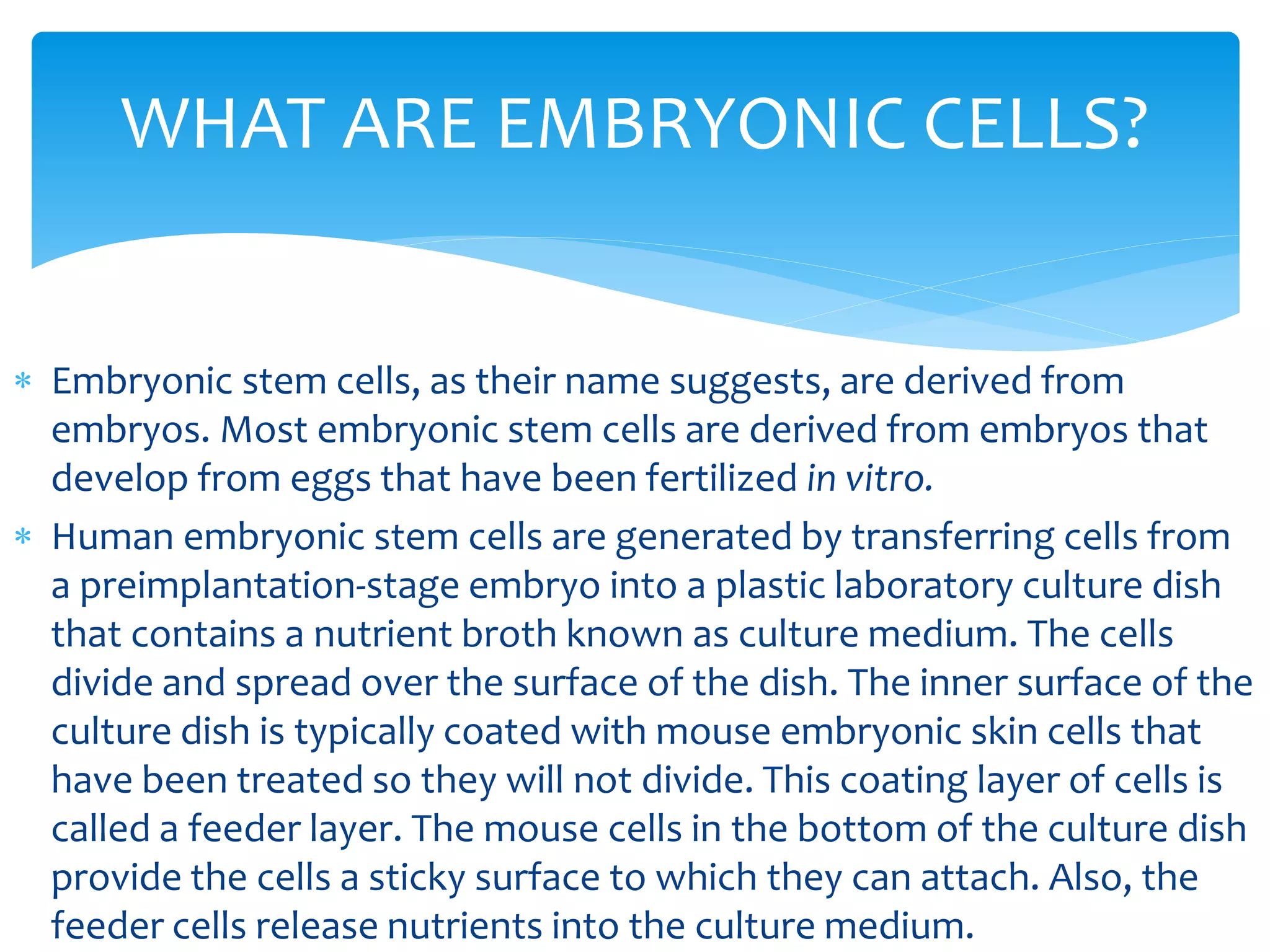  Embryonic stem cells, as their name suggests, are derived from
embryos. Most embryonic stem cells are derived from embryos that
develop from eggs that have been fertilized in vitro.
 Human embryonic stem cells are generated by transferring cells from
a preimplantation-stage embryo into a plastic laboratory culture dish
that contains a nutrient broth known as culture medium. The cells
divide and spread over the surface of the dish. The inner surface of the
culture dish is typically coated with mouse embryonic skin cells that
have been treated so they will not divide. This coating layer of cells is
called a feeder layer. The mouse cells in the bottom of the culture dish
provide the cells a sticky surface to which they can attach. Also, the
feeder cells release nutrients into the culture medium.
WHAT ARE EMBRYONIC CELLS?
 