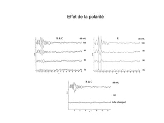 Effet de la polarité
 