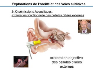 Explorations de l’oreille et des voies auditives
2- Otoémissions Acoustiques:
exploration fonctionnelle des cellules ciliées externes
David KEMP
exploration objective
des cellules ciliées
externes
 
