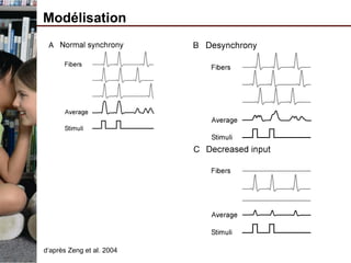 Modélisation
d‘après Zeng et al. 2004
 