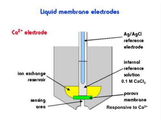 Responsive to Ca2+
0.1 M CaCl2
 