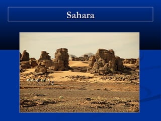 Sahara

 
