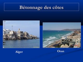 Bétonnage des côtes

Alger

Oran

 