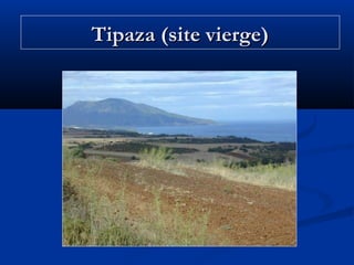 Tipaza (site vierge)

 