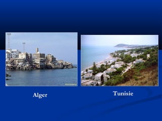 Alger

Tunisie

 