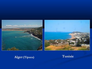 Alger (Tipaza)

Tunisie

 