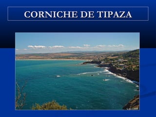 CORNICHE DE TIPAZA

 