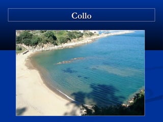 Collo

 