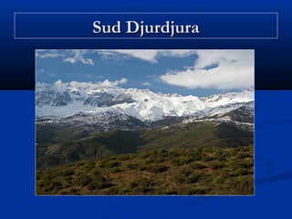 Sud Djurdjura

 