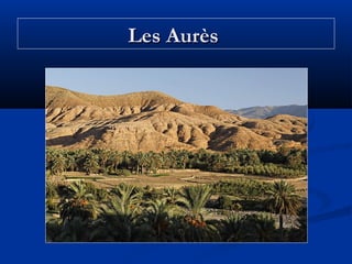 Les Aurès

 