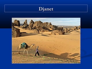 Djanet

 