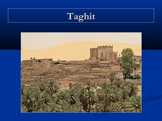 Taghit

 