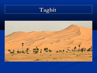 Taghit

 