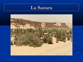 La Saoura

 