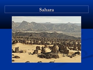 Sahara

 