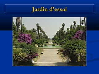 Jardin d'essai

 