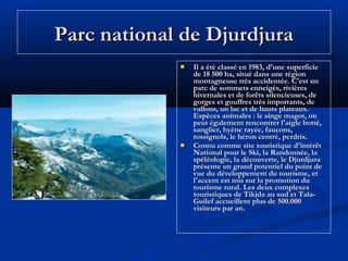 Parc national de Djurdjura




Il a été classé en 1983, d'une superficie
de 18 500 ha, situé dans une région
montagneuse très accidentée. C'est un
parc de sommets enneigés, rivières
hivernales et de forêts silencieuses, de
gorges et gouffres très importants, de
vallons, un lac et de hauts plateaux.
Espèces animales : le singe magot, on
peut également rencontrer l'aigle botté,
sanglier, hyène rayée, faucons,
rossignols, le héron centré, perdrix.
Connu comme site touristique d'intérêt
National pour le Ski, la Randonnée, la
spéléologie, la découverte, le Djurdjura
présente un grand potentiel du point de
vue du développement du tourisme, et
l'accent est mis sur la promotion du
tourisme rural. Les deux complexes
touristiques de Tikjda au sud et TalaGuilef accueillent plus de 500.000
visiteurs par an.

 