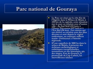 Parc national de Gouraya




Le Parc est situé sur la côte Est de
l'Algérie dans la Wilaya de Béjaia à
230 km de la capitale, cette situation
met le parc en relation avec d'autres
ville : Au Sud Sétif (111 km), à
l'Ouest Tizi-ouzou (127 km) et à
l'Est Jijel (96 km) . Les raisons qui
ont motivé sa création sont des plus
diverses et sont depuis le végéta
endémique, au contraste milieux
marin- continental à l'histoire
régionale.
D'une superficie de 1000 ha dans la
wilaya de Béjaïa, il présente des
richesses archéologiques et
esthétiques exceptionnelles,
notamment en site historique, pic
des singes, Fort de Gouraya, la
promenade de Cap Carbon, les
merveilleuses falaises

 