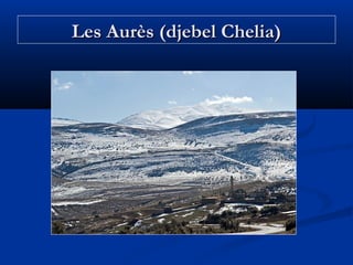 Les Aurès (djebel Chelia)

 
