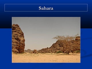 Sahara

 