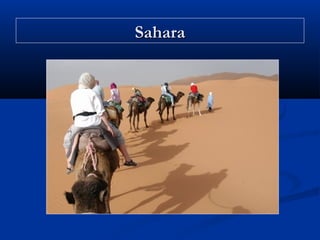 Sahara

 