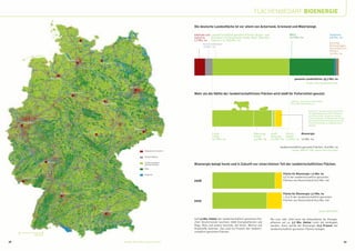 FLÄCHENBEDARF BIOENERGIE

                                                                                                                          Die deutsche Landesfläche ist vor allem von Ackerland, Grünland und Wald belegt.

                                                                                                                          Gebäude und Landwirtschaftlich genutzte Flächen (Acker- und                     Wald                                    Gewässer
                                                                                                                          Industrie     Grünland; mit Gartenland, Heide, Moor, Betriebs-                  10,7 Mio. ha                            0,8 Mio. ha
                                                                                                                          2,7 Mio. ha   flächen u.a.) 18,8 Mio. ha
                                                  Kiel                                                                           Verkehrsflächen                                                                                                  Sonstige
                                                                                                                                 1,8 Mio. ha                                                                                                      (Grünanlagen,
                                                                                                                                                                                                                                                  Schutzflächen,
                                                                                                                                                                                                                                                  Militär)
                                                                                                                                                                                                                                                  0,9 Mio. ha

                                            Hamburg
                                                                  Schwerin




                             Bremen                                                                                                                                                                           gesamte Landesfläche: 35,7 Mio. ha
                                                                                                                                                                                                                           Quelle: Stat. Bundesamt 2009
                                                                                    Berlin
                                              Hannover                                                                    Mehr als die Hälfte der landwirtschaftlichen Flächen wird 2008 für Futtermittel genutzt.

                                                                                                                                                                                                           Differenz: ohne Gartenland, Heide,
                                                                   Magdeburg                                                                                                                               Moor, Betriebsflächen u.a.


                                                                                                                                                                                                                             Rund 40 % der Bioenergie-Fläche die-
                                                                                                                                                                                                                             nen gleichzeitig auch der Produktion
                                                                                                                                                                                                                             von Futtermittel, da bei der Herstel-
                                                                                                                                                                                                                             lung von Rapsöl und Bioethanol immer
                                                                                                                                                                                                                             auch Futtermittel wie Rapsschrot und
     Düsseldorf                                                                                                                                                                                                              Trockenschlempe als Koppelprodukt
                                                                                                                                                                                                                             anfallen.
                                                                                         Dresden
                                                         Erfurt
                                                                                                                                        Futter-                             Nahrungs-      stoffl.     Brach-      Bioenergie
                                                                                                                                        mittel                              mittel         Nutzung     fläche
                                                                                                                                        10,2 Mio. ha                        4,5 Mio. ha    0,3 Mio. ha 0,3 Mio. ha 1,6 Mio. ha


                                                                                                                                                                                                  landwirtschaftlich genutzte Flächen: 16,9 Mio. ha
                                                                                                  Gebäude und Industrie                                                                                     Quelle: BMELV, FNR, eigene Berechnungen

                                                                                                  Verkehrsflächen


                           Mainz                                                                  landwirtschaftlich
                                                                                                  genutzte Flächen        Bioenergie belegt heute und in Zukunft nur einen kleinen Teil der landwirtschaftlichen Flächen.
                                                                                                  Wald


                                                                                                  Gewässer                                                                                          Fläche für Bioenergie: 1,6 Mio. ha
      Saarbrücken                                                                                                                                                                                   9,5 % der landwirtschaftlich genutzten
                                                                                                                          2008                                                                      Flächen von Deutschland (16,9 Mio. ha)



                                      Stuttgart                                                                                                                                                     Fläche für Bioenergie: 3,7 Mio. ha
                                                                                                                                                                                                    = 21,9 % der landwirtschaftlich genutzten
                                                                                                                          2020                                                                      Flächen von Deutschland (16,9 Mio. ha)



                                                                  München                                                                                                                                                               Quelle: BEE/DBFZ


                                                                                                                          Auf 1,6 Mio. Hektar der landwirtschaftlich genutzten Flä-        Bis zum Jahr 2020 kann die Anbaufläche für Energie-
                                                                                                                          chen Deutschlands wuchsen 2008 Energiepflanzen wie               pflanzen auf ca. 3,7 Mio. Hektar mehr als verdoppelt
                                                                                                                          Raps, Mais und andere Getreide, die Strom, Wärme und             werden. Dann würde die Bioenergie 21,9 Prozent der
                                                                                                                          Kraftstoffe lieferten. Das sind 9,5 Prozent der landwirt-        landwirtschaftlich genutzten Flächen belegen.
                                                                                                                          schaftlich genutzten Flächen.
                  100 km

38                                                                             Quellen: DLR 2004, Leibniz-Institut                                                                                                                                               39
 