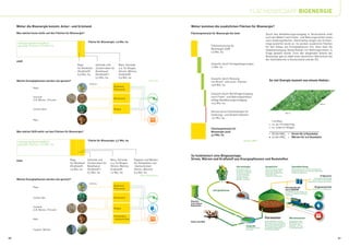 FLÄCHENBEDARF BIOENERGIE

     Woher die Bioenergie kommt: Acker- und Grünland                                                                             Woher kommen die zusätzlichen Flächen für Bioenergie?

     Was wächst heute wofür auf den Flächen für Bioenergie?                                                                      Flächenpotenzial für Bioenergie bis 2020                                Durch den Bevölkerungsrückgang in Deutschland sinkt
                                                                                                                                                                                                         auch der Bedarf nach Futter- und Nahrungsmitteln sowie
                                                                                                                                                                                                         nach Siedlungsflächen. Gleichzeitig steigen die Ernteer-
      sonstige landwirtschaftlich                              Fläche für Bioenergie: 1,6 Mio. ha
                                                                                                                                                                                                         träge weiterhin leicht an. So werden zusätzliche Flächen
      genutzte Flächen: 15,3 Mio. ha                                                                                                              Flächennutzung für                                     für den Anbau von Energiepflanzen frei, ohne dass die
                                                                                                                                                  Bioenergie 2008                                        Selbstversorgung Deutschlands mit Nahrungsmitteln in
                                                                                                                                                  1,6 Mio. ha                                            Frage gestellt würde. Trotz des steigenden Anteils der
                                                                                                                                                                                                         Bioenergie gab es 2008 einen deutlichen Überschuss bei
                                                                                                                                                                                                         der Getreideernte in Deutschland und der EU.
     2008
                                                     Raps            Getreide und       Mais, Getreide                                            Zuwachs durch Ertragssteigerungen
                                                     für Biodiesel   Zuckerrüben für    u.a. für Biogas                                           +1 Mio. ha
                                                     (Kraftstoff)    Bioethanol         (Strom, Wärme,
                                                     0,9 Mio. ha     (Kraftstoff )      Kraftstoff)
                                                                     0,2 Mio. ha        0,5 Mio. ha                                               Zuwachs durch Nutzung
     Welche Energiepflanzen werden wie genutzt?                                                                    Quelle: FNR
                                                                                                                                                  von Brach- und sonst. Flächen                              So viel Energie kommt von einem Hektar:
                                                                wird zu                                                                           +0,8 Mio. ha
                                                                                    Biodiesel,
                  Raps
                                                                                    Pflanzenöl
                                                                                                                                                  Zuwachs durch Nachfragerückgang
                  Getreide                                                                                                                        nach Futter- und Nahrungsmitteln
                                                                                    Bioethanol
                  (z.B. Weizen, Triticale)                                                                                                        infolge Bevölkerungsrückgang
                                                                                                                                                  +0,4 Mio. ha                                                                                                                  100 m

                  Zuckerrüben                                                       Biogas
                                                                                                                                                  Verlust durch Flächenbedarf für
                                                                                                                                                                                                                                   100 m
                                                                                                                                                  Siedlungs- und Verkehrsflächen
                                                                                                                                                  -0,1 Mio. ha
                  Mais
                                                                                                                                                                                                               1 ha Mais
                                                                                                                                                                                                             = ca. 45 t Ernteertrag
                                                                                                                                                  Flächenpotenzial für                                       = ca. 9.000 m³ Biogas
     Was wächst 2020 wofür auf den Flächen für Bioenergie?                                                                                        Bioenergie 2020
                                                                                                                                                  3,7 Mio. ha                                                = 18.000 kWhel = Strom für 5 Haushalte
                                                                                                                                                                                                             + 12.000 kWhth = Wärme für 0,6 Haushalte
      sonstige landwirtschaftlich                              Fläche für Bioenergie: 3,7 Mio. ha                                                                                 Quelle: DBFZ
      genutzte Flächen: 13,2 Mio. ha



                                                                                                                                 So funktioniert eine Biogasanlage:
     2020                                      Raps            Getreide und      Mais, Getreide      Pappeln und Weiden          Strom, Wärme und Kraftstoff aus Energiepflanzen und Reststoffen
                                               für Biodiesel   Zuckerrüben für   u.a. für Biogas     für Holzpellets und
                                               (Kraftstoff)    Bioethanol        (Strom, Wärme,      -hackschnitzel                                                      Gärrestelager                  Gasspeicher                        Gasaufbereitung
                                               1,5 Mio. ha     (Kraftstoff )     Kraftstoff)         (Strom, Wärme)                                                      Ist die Biomasse im            Das entstehende Biogas             Methangehalt und Qualität des Biogases
                                                                                                                                                                         Fermenter vergoren,            wird in der Haube des              werden gesteigert, um es konventionellem
                                                               0,7 Mio. ha       1,2 Mio. ha         0,3 Mio. ha                                                         kommt sie zunächst             Fermenters gespeichert,            Erdgas anzugleichen.
                                                                                                                                                                         ins Gärrestelager,             direkt über der
                                                                                                          Quelle: AEE/BEE/DBFZ                                           um dann als hoch-              vergärenden Biomasse.                                                    Erdgasnetz
                                                                                                                                                                         wertiger Dünger                                                                                 Das aufbereitete Biogas
     Welche Energiepflanzen werden wie genutzt?                                                                                                                          genutzt zu werden.                                                                            kann direkt in bestehende
                                                                                                                                                                                                                                                                 Erdgasnetze eingespeist werden.
                                                                wird zu
                                                                                    Biodiesel,
                  Raps                                                                                                                                                                                                             Blockheizkraft-                        Biogastankstelle
                                                                                    Pflanzenöl                                                                                                                                                                         Kraftstoff für Erdgasautos
                                                                                                                                                   Ener                                                                            werk (BHKW)
                                                                                                                                                                                                                                   Im BHKW wird das Biogas zur
                                                                                                                                                                                                                                   Strom- und Wärmeerzeugung
                                                                                                                                                                                                                                   verbrannt.
                  Zuckerrübe                                                        Bioethanol
                                                                                                                                 Bioabfälle
                                                                                                                                 Biomüll
                                                                                                                                 und andere
                                                                                                                                     Reststoffe
                                                                                                                                 Reststoffe
                  Getreide
                                                                                    Biogas
                  (z.B. Weizen, Triticale)

                                                                                    Holzpellets,
                  Mais                                                              -hackschnitzel                                                                                                      Fermenter                      Wärmetauscher
                                                                                                                                 Gülle und Mist                                                         In dem Behälter wird die       Die Abwärme des
                                                                                                                                                                                                        Biomasse unter Ausschluss      BHKW beheizt den
                                                                                                                                                                                                        von Licht und Sauerstoff von   Fermenter und
                                                                                                                                                                                     Vorgrube           Mikroorganismen abgebaut.      Gebäude, z.B. über
                                                                                                                                                                                     Sammelbecken für   Aus diesem Gärprozess          ein Nahwärmenetz.
                  Pappeln, Weiden                                                                                                                                                    Biomasse           entsteht das Biogas.




40                                                                                                                                                                                                                                                                                                  41
 