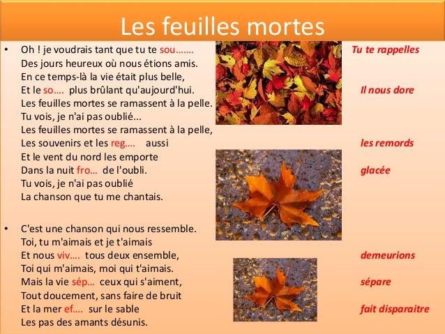 Poètes dici et dailleurs