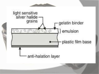 MARK LESTER FLORES 2012
 