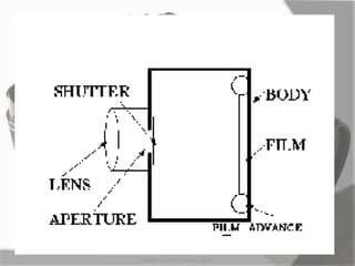 MARK LESTER FLORES 2012
 