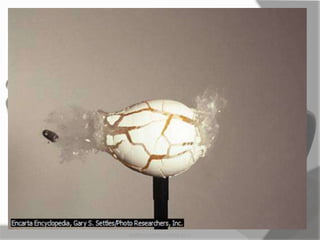 MARK LESTER FLORES 2012
 