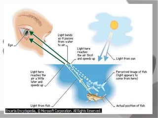 MARK LESTER FLORES 2012
 