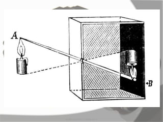 MARK LESTER FLORES 2012
 