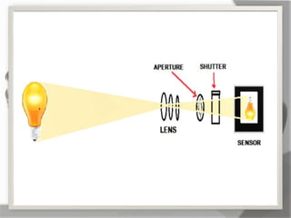 MARK LESTER FLORES 2012
 