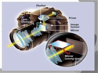 MARK LESTER FLORES 2012
 