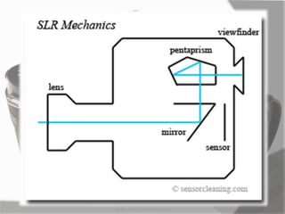 MARK LESTER FLORES 2012
 
