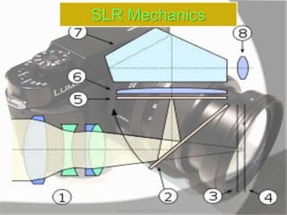 SLR Mechanics
MARK LESTER FLORES 2012
 
