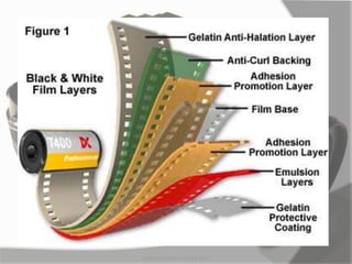 MARK LESTER FLORES 2012
 