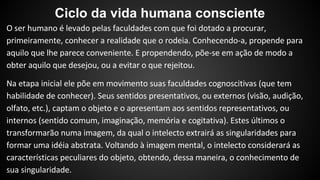 Ciclo da vida humana consciente 
 